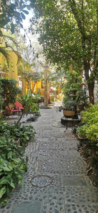 Tlaquepaque Hotel Rosa Morada المظهر الخارجي الصورة